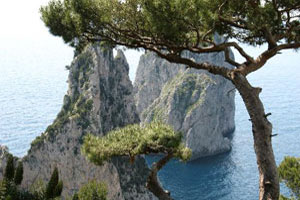 La Certosa di San Giacomo