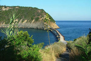 L'isolotto di Vivara